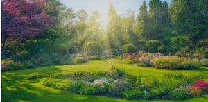 modern landscape design