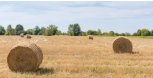 high tensile strength baling twine
