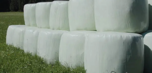 easy-install net replacement film